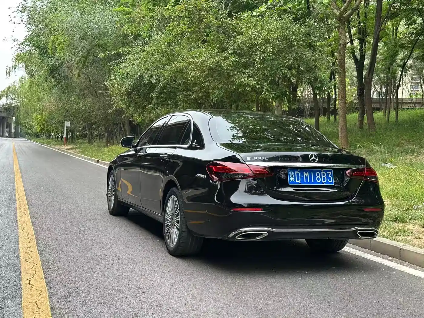 Mercedes-Benz E-Class 2023 E 300 L Luxury фото 4