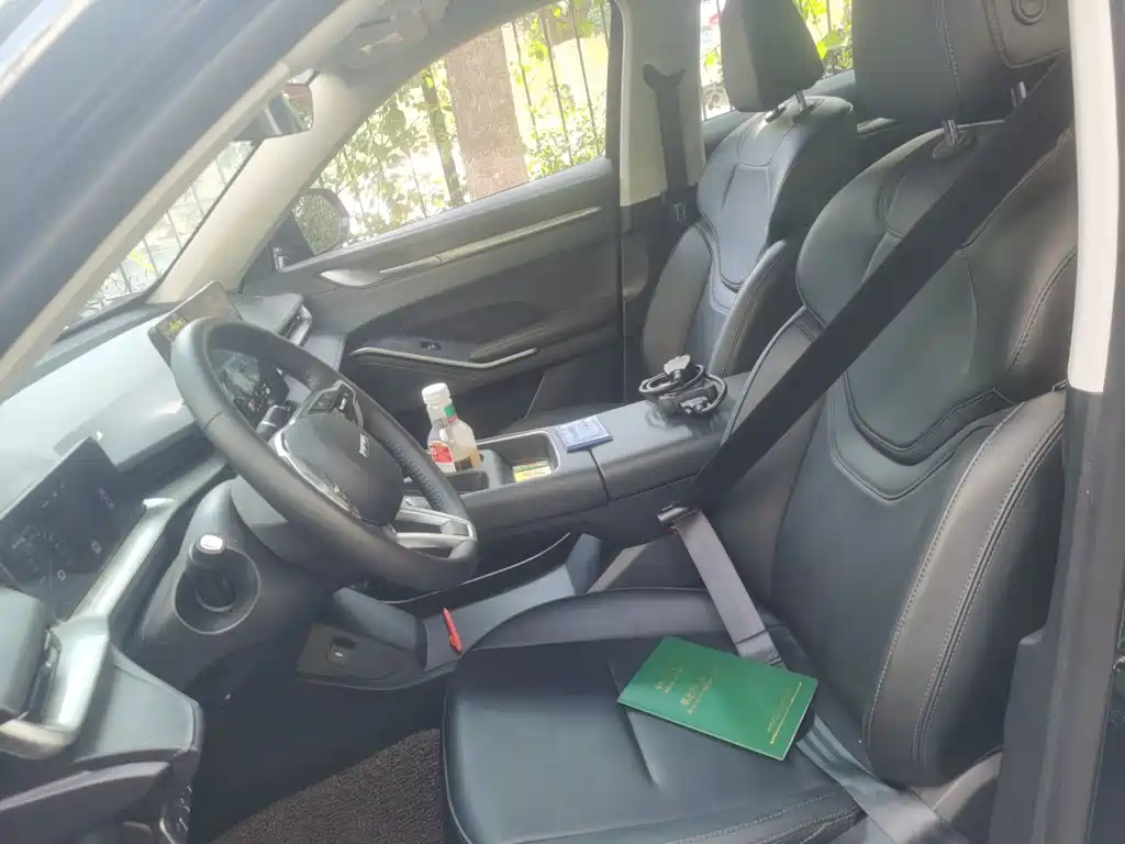 Haval H6 2025 2024 1.5T 2WD Max