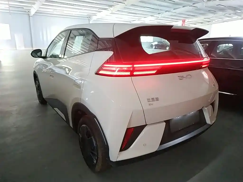 BYD Seagull 2026 2025 Smart Drive Edition 305km Vitality Version