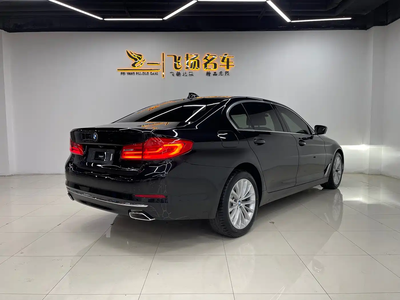 BMW 5 SERIES NEW ENERGY