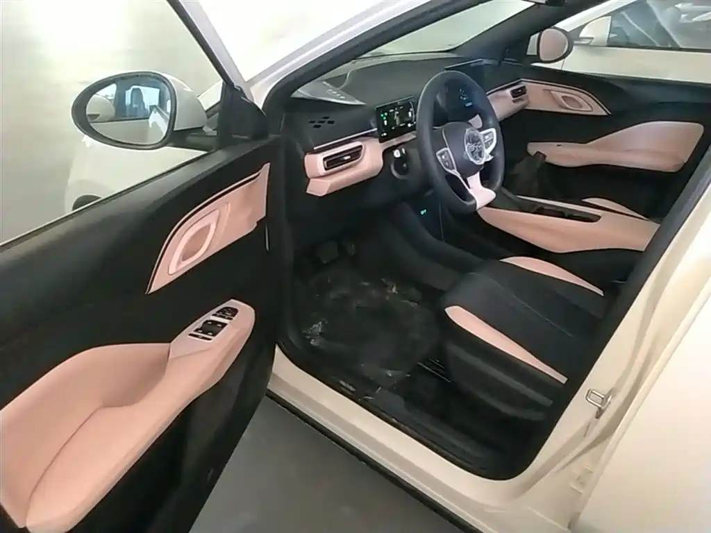 BYD Seagull 2026 2025 Smart Drive Edition 305km Vitality Version