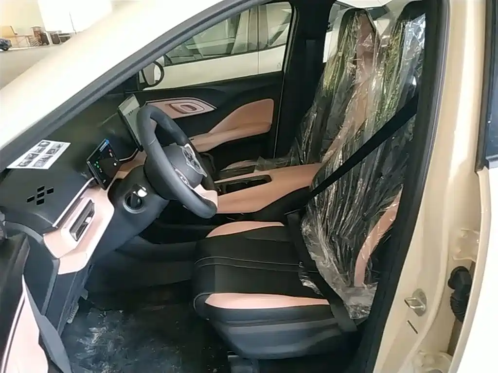 BYD Seagull 2026 2025 Smart Drive Edition 305km Vitality Version