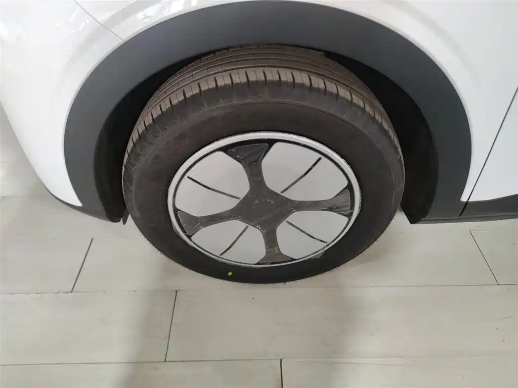 Geely Galaxy Starry Wish 2026 2026 Edition 310km Youth Version