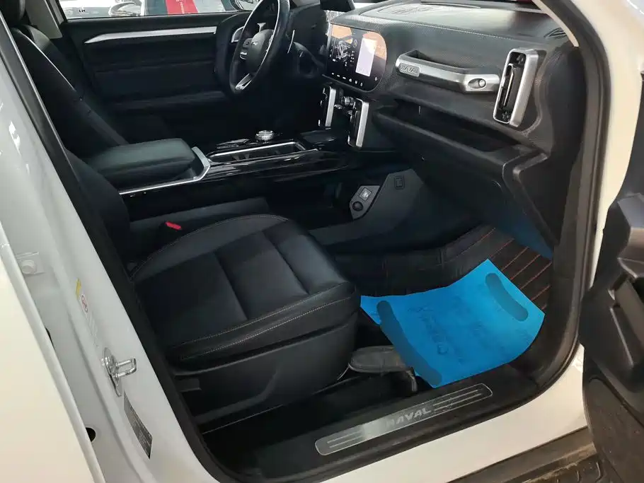 Haval Dargo 2021 2021 2.0T DCT 4WD Chinese Rural Dog Edition