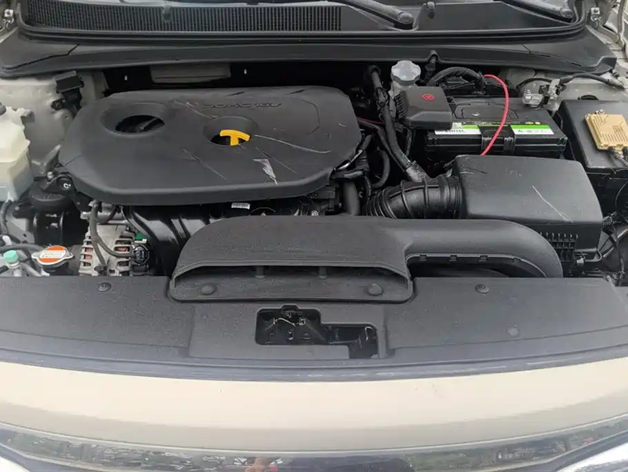 HYUNDAI NAME PICTURE