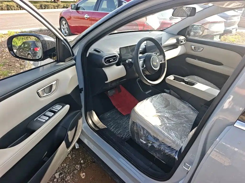 Wuling Motors Wuling Binguo PLUS 2026 2024 510km Range 5-seater