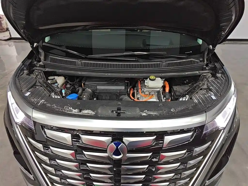 Denza D9 2024 DM-i 980 AWD Prestige фото 20