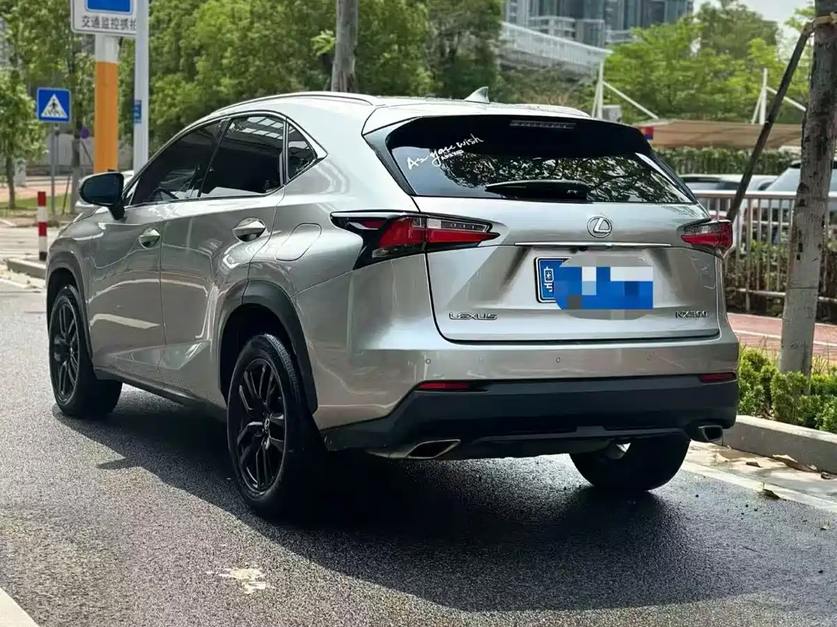 LEXUS NX