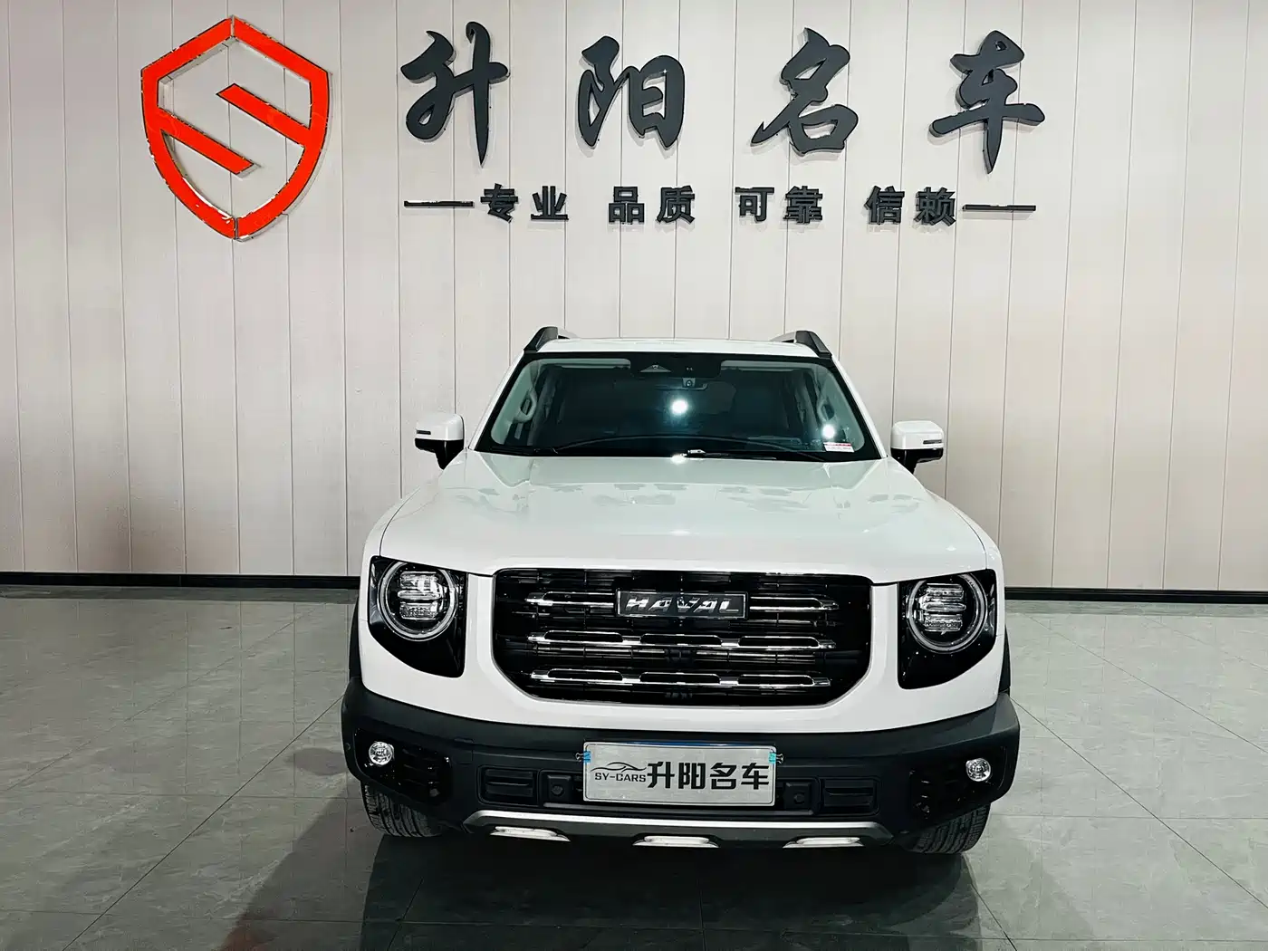 HAVAL BIG DOG