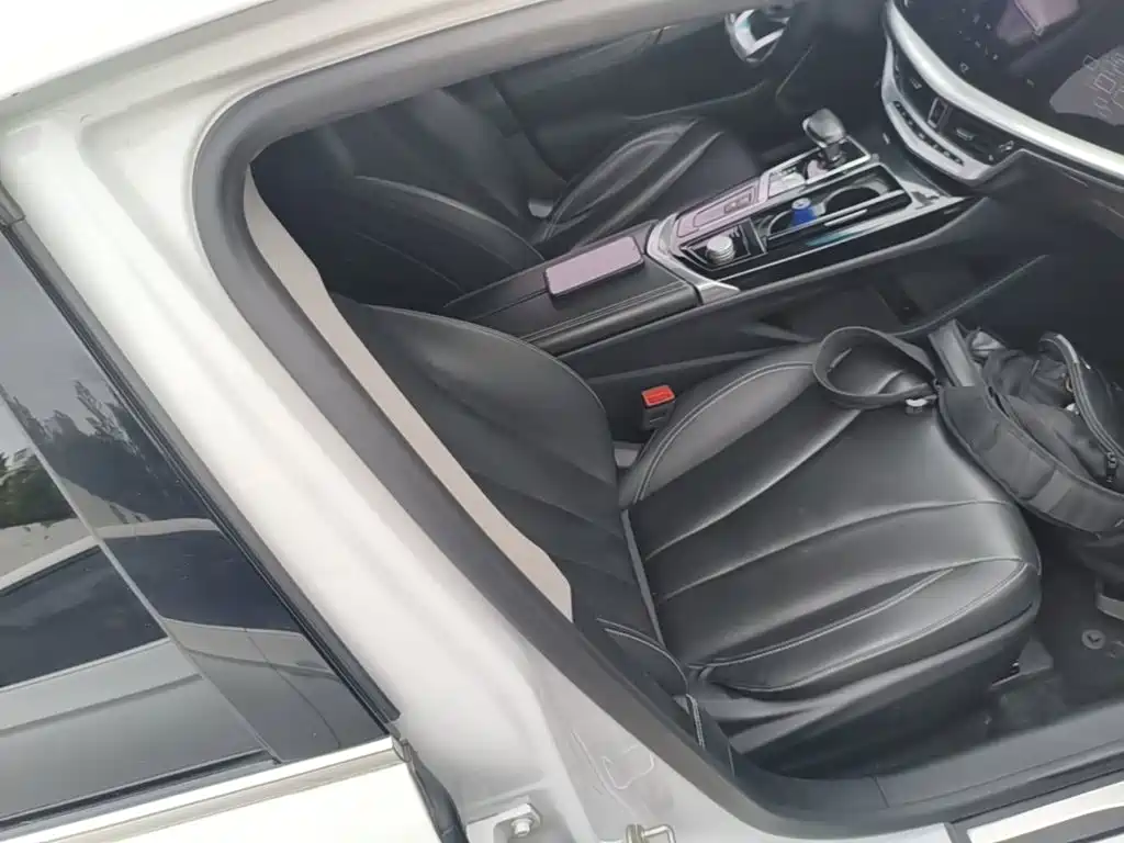 Geely Borui 2019 2020 1.5T MHEV Premium Edition