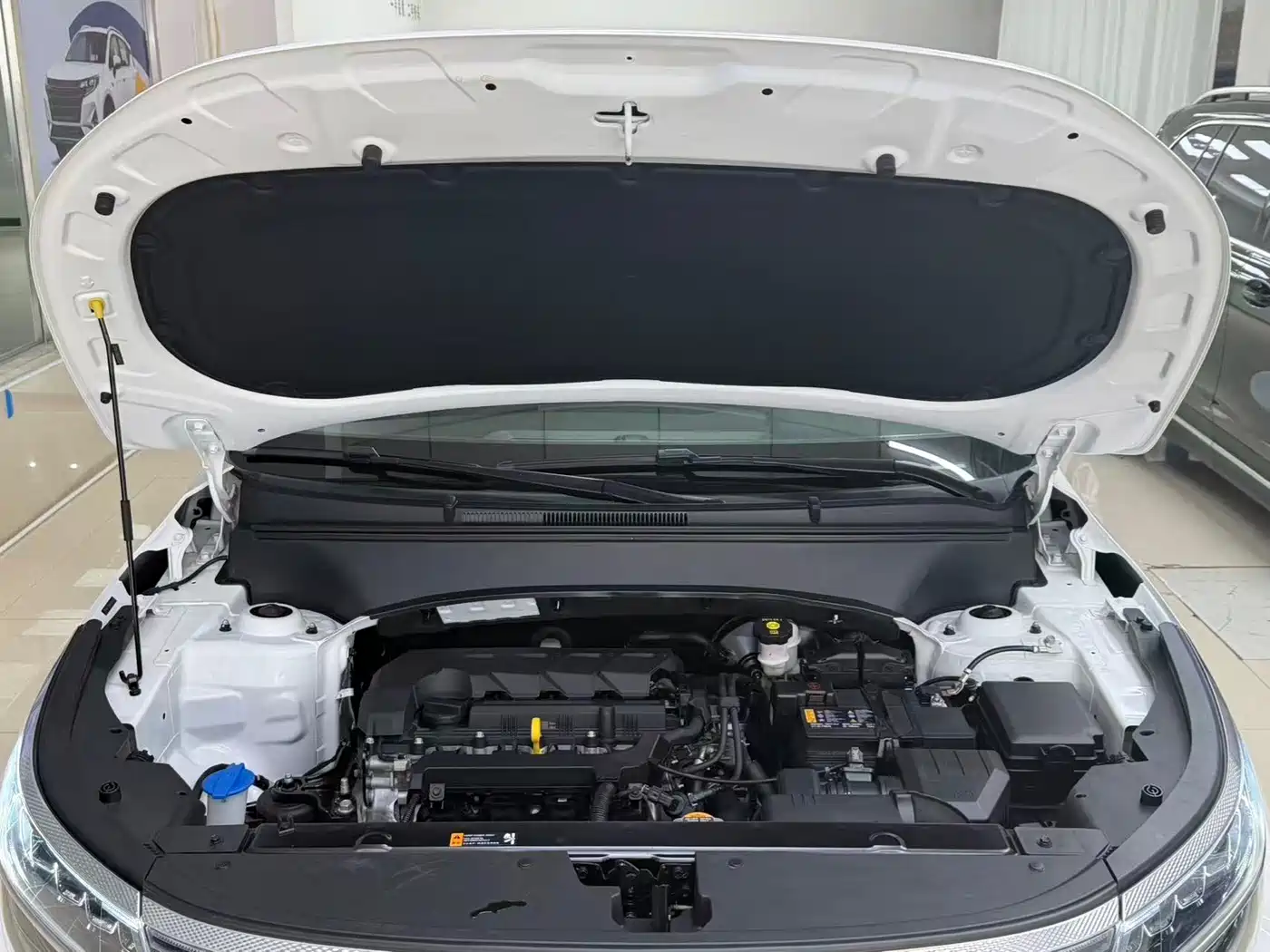 Kia KX3 2022 2021 1.5L CVT All-Round Edition