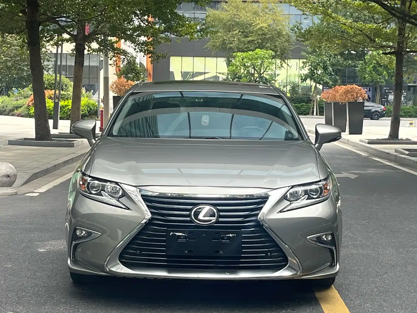 Lexus ES 2015 200 Elite Edition фото 3