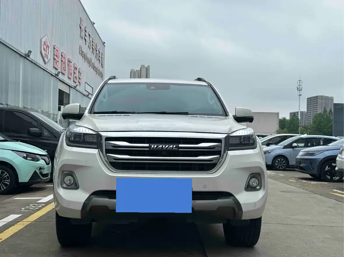 Haval H9 2020 2.0T Gasoline 4WD Premium 5-Seater фото 2