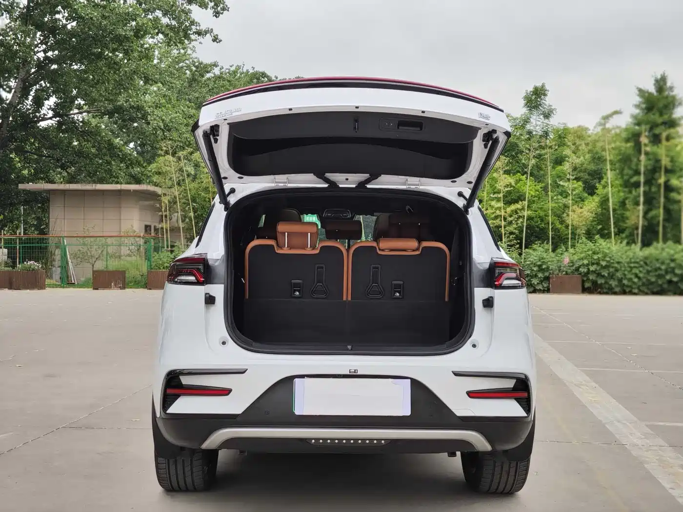 BYD Tang New Energy 2023 Model DM-i Champion Edition 112KM Premium фото 7