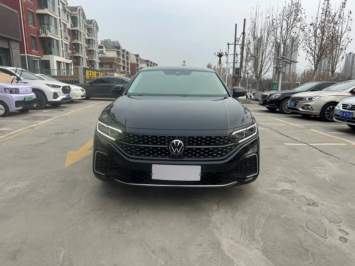 Volkswagen Passat 2023 330TSI Starlight Luxury Edition фото 2