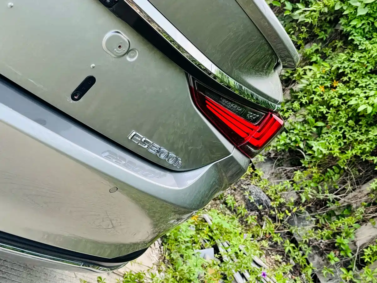 Lexus ES 2020 Model 300h Excellence Edition China V фото 13