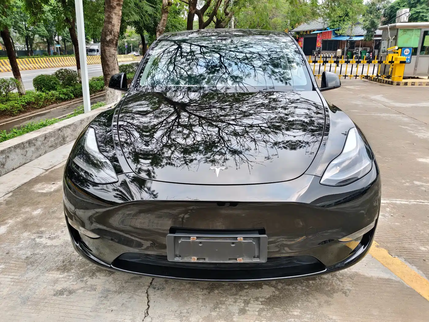 TESLA MODEL Y