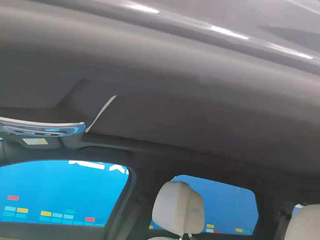 Denza X 2021 2020 Model PHEV Flagship Edition