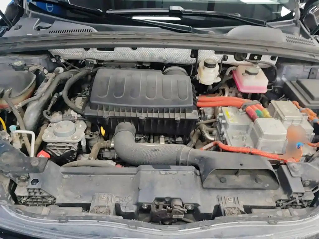Denza X 2021 2020 Model PHEV Flagship Edition