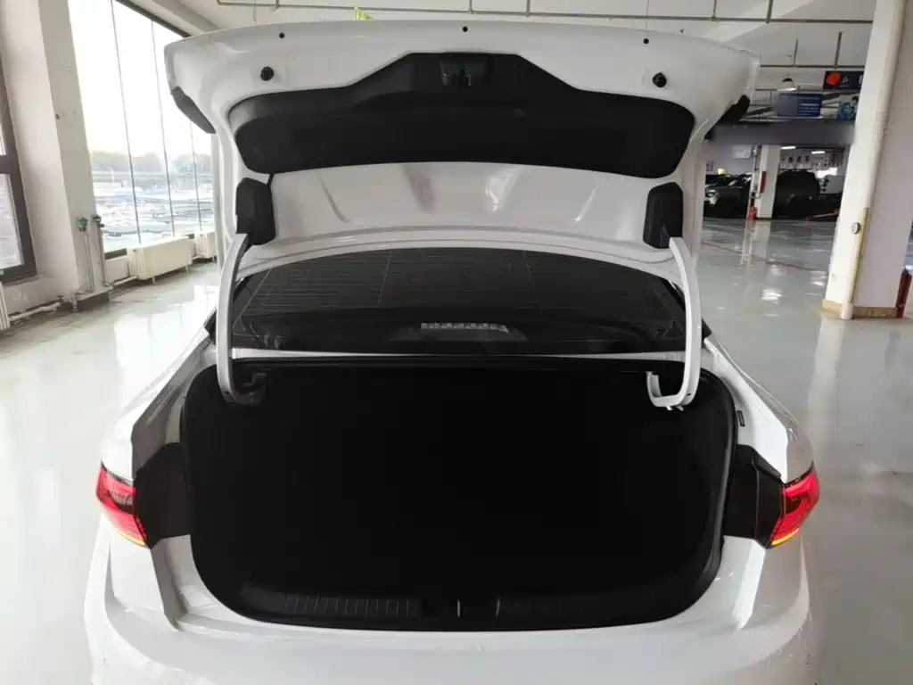 صورة 19 - Volkswagen Sagitar
