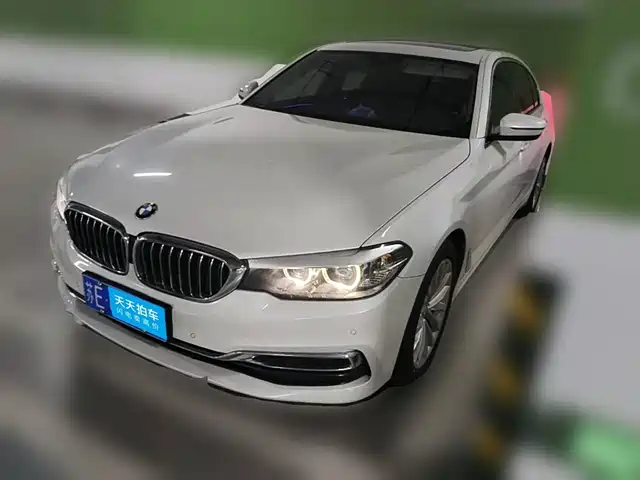 BMW 5 Series 2019 530Li Leading Luxury Package — фото 1