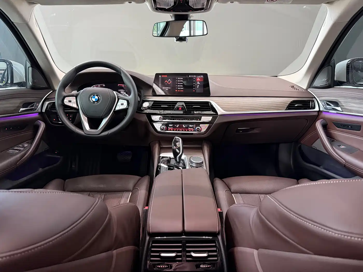 BMW 5 Series 2020 530Li Premium Luxury Package фото 13