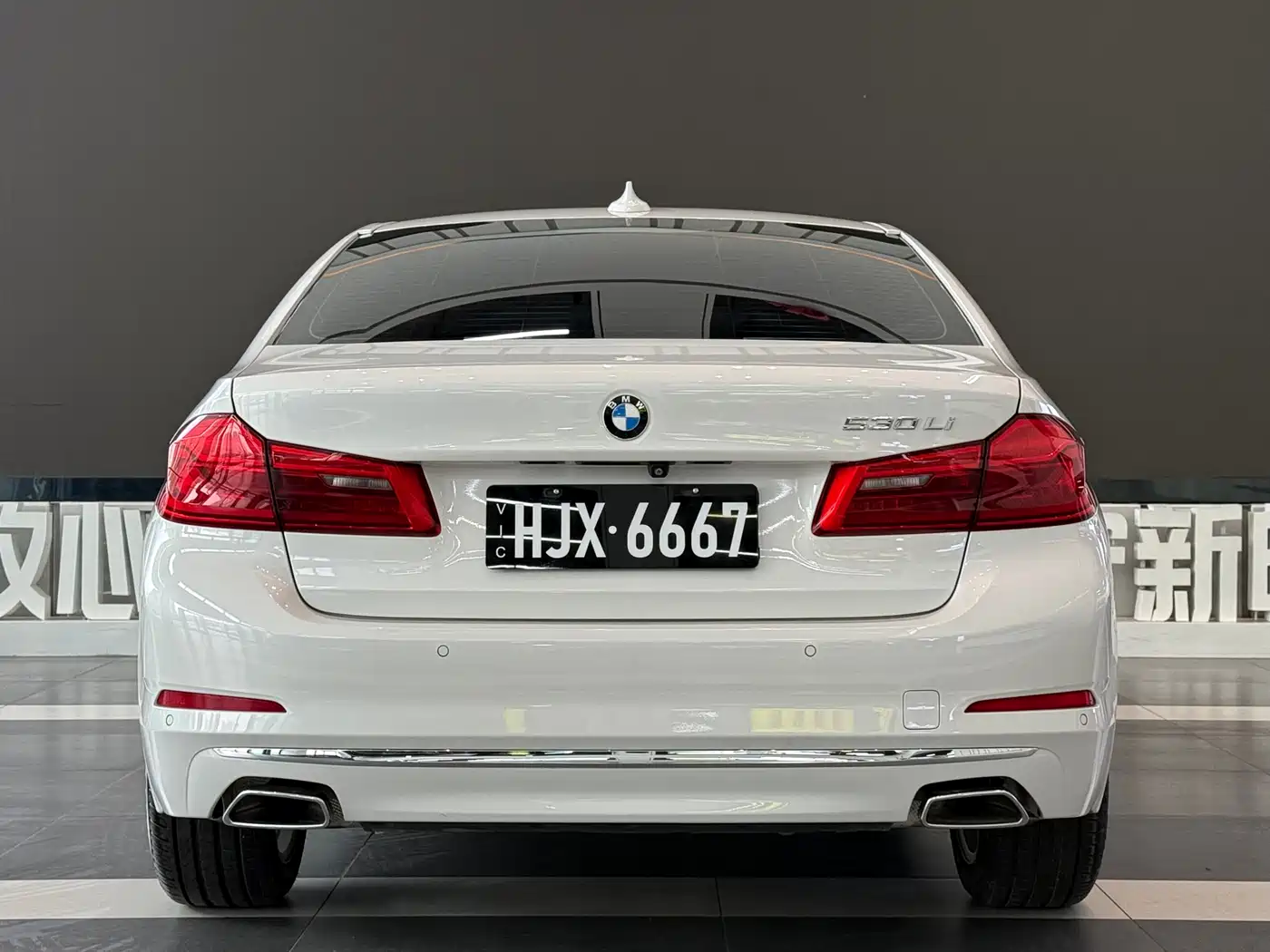 BMW 5 Series 2020 530Li Premium Luxury Package фото 6