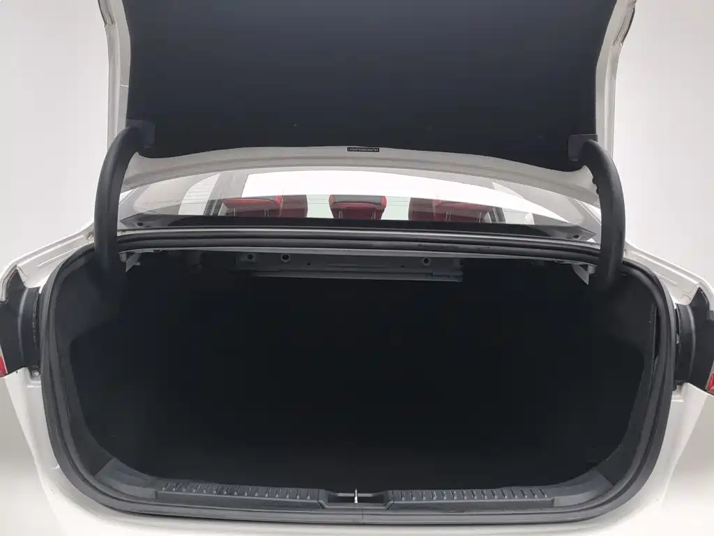 Ford Focus 2020 2020 Sedan 1.5L Automatic Sharp Leap Type