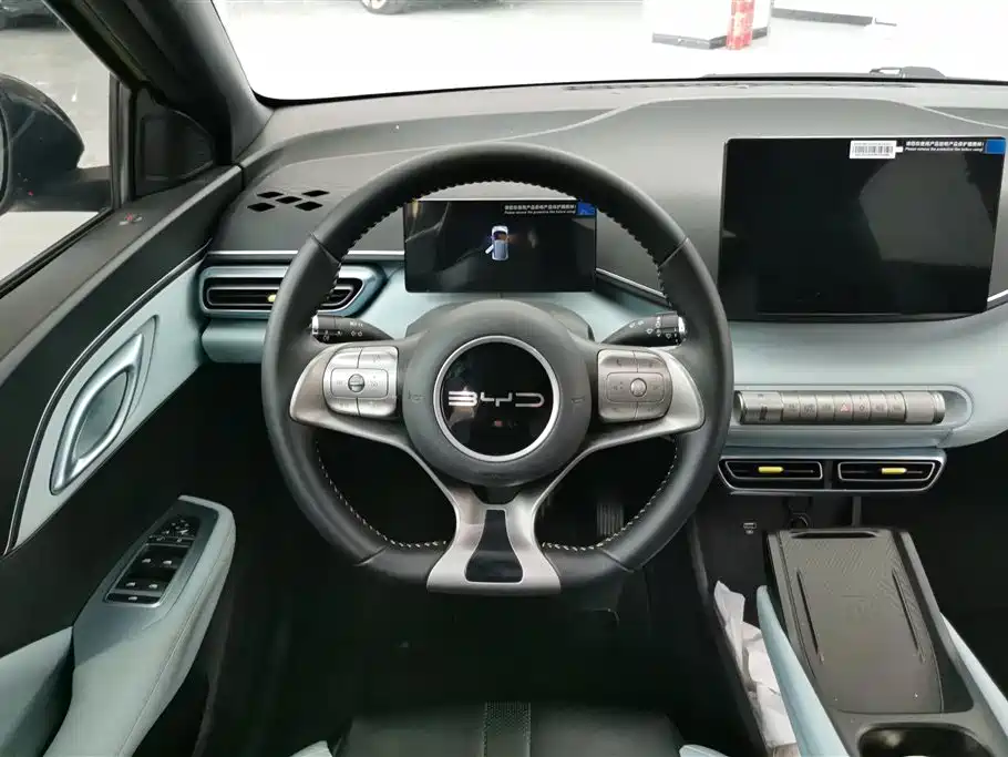 BYD Seagull 2023 Freedom Edition фото 15