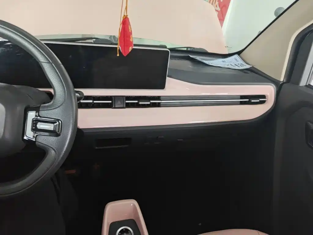 BAW (Beijing Automobile Works) Yuanbao 2023 2022 Model Year Baby Cute Edition