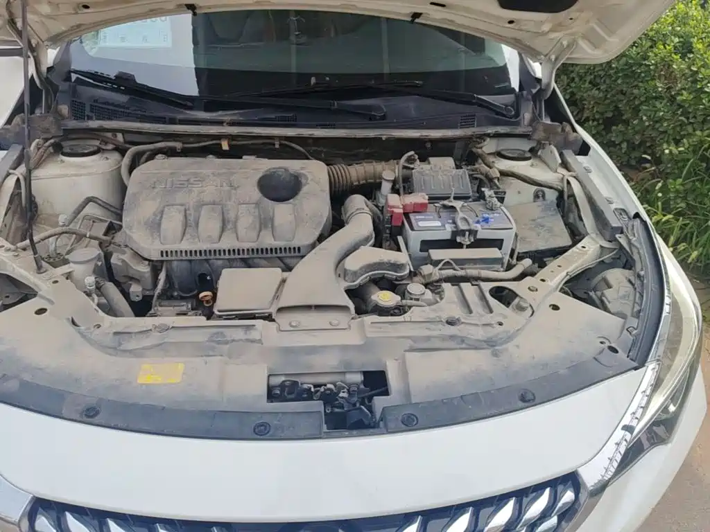 Venucia D60 2019 2019 1.6L XL CVT Smart Connect Elite Edition