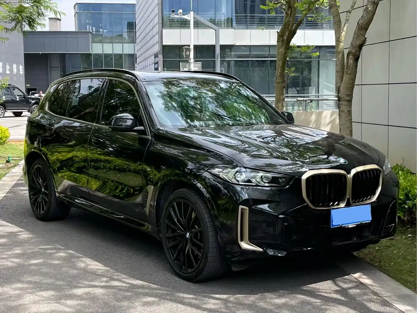 BMW X5 2024 xDrive 40Li Exclusive Black Flame Limited Edition фото 3