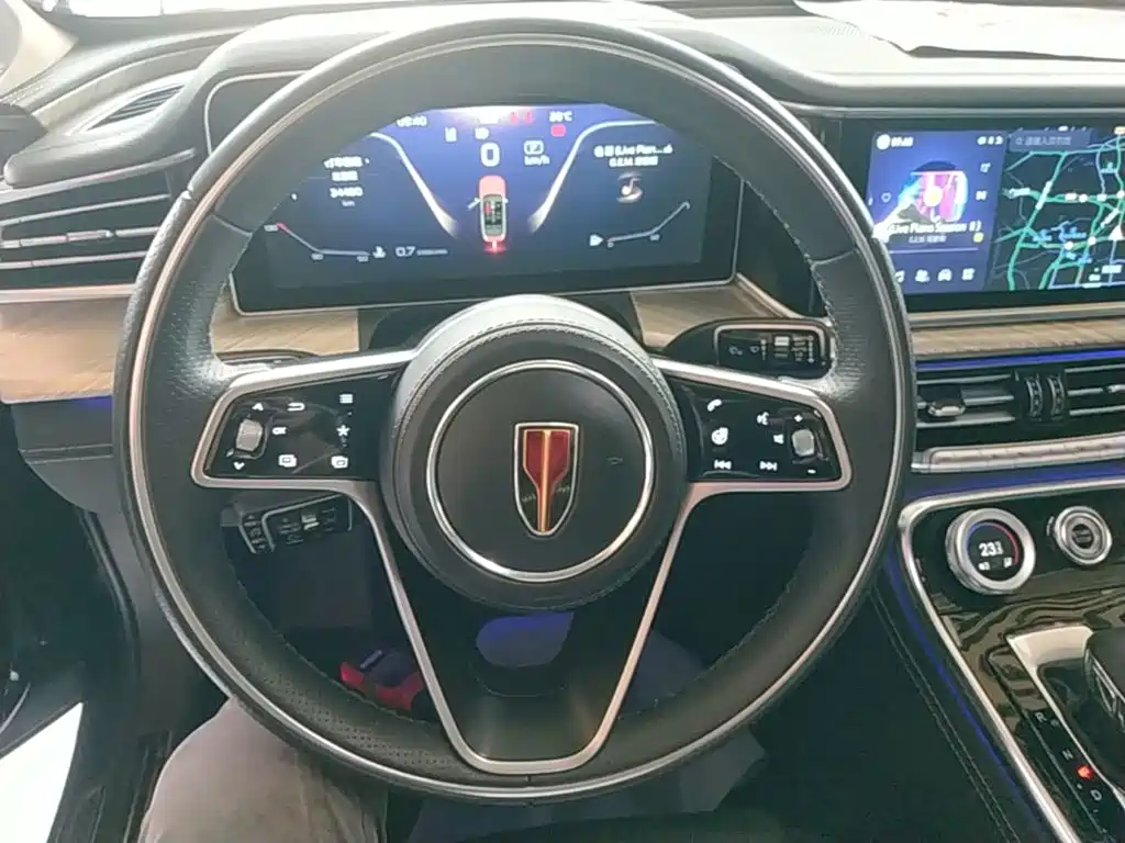 Hongqi H9 2021 2020 3.0T Smart Connect Flagship 4-Seater