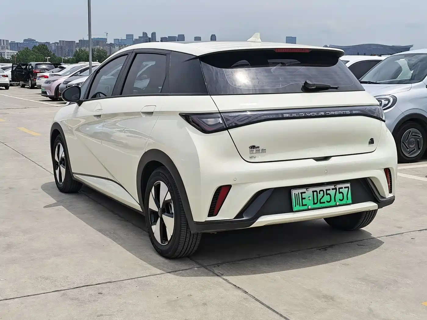 BYD Dolphin 2023 420km Fashion Edition фото 6
