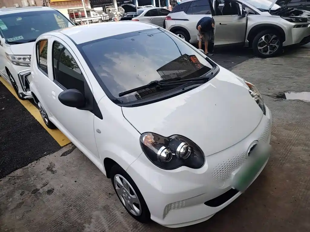 2020 BYD e1