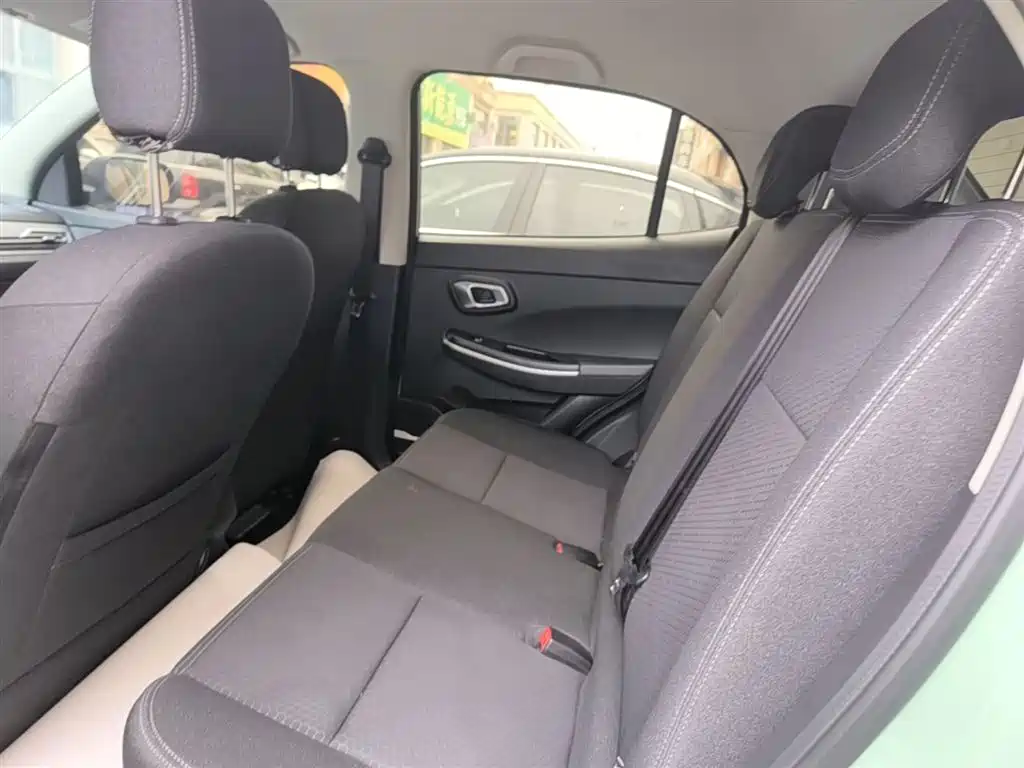 Dayun Yuehu 2022 2022 30.66kWh 2WD Standard Edition
