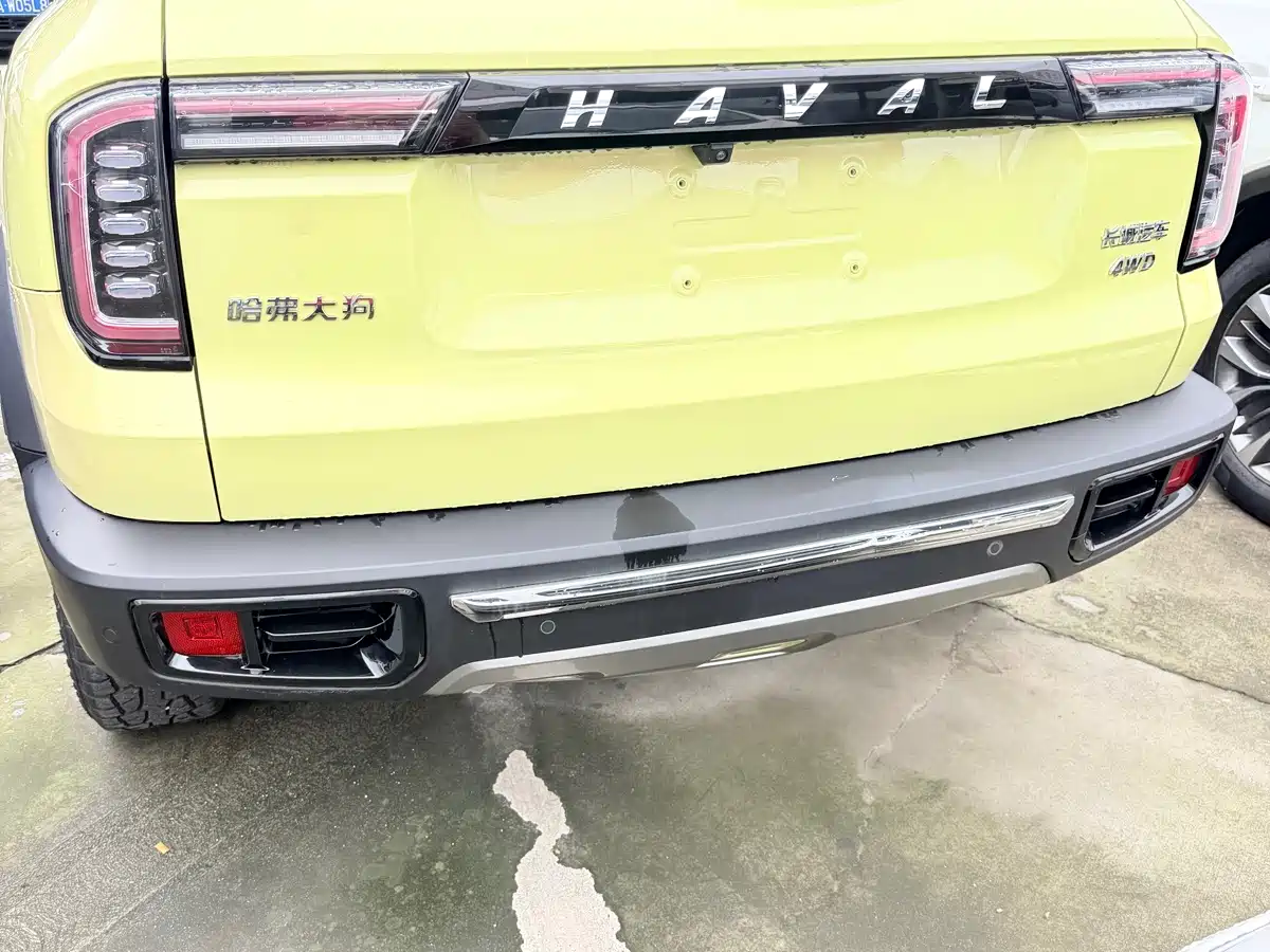 Haval Dargo 2021 2021 2.0T DCT 4WD Chinese Rural Dog Edition