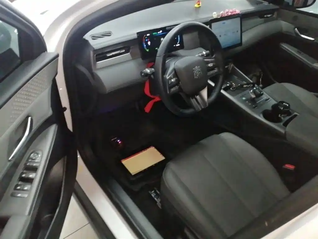 BYD Qin PLUS 2025 DM-i Smart Drive 55KM Leader фото 16