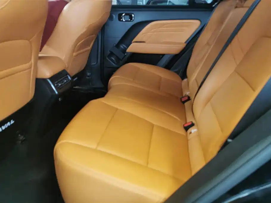Haval Meng Long NEV 2024 Hi4 102 Pro фото 11