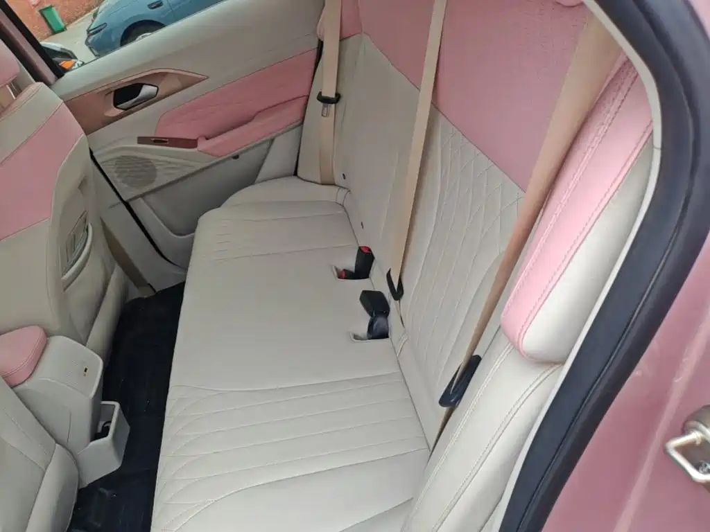 Geely Geometry E Firefly 2023 2023 401KM Linglong Tiger 5-Seater