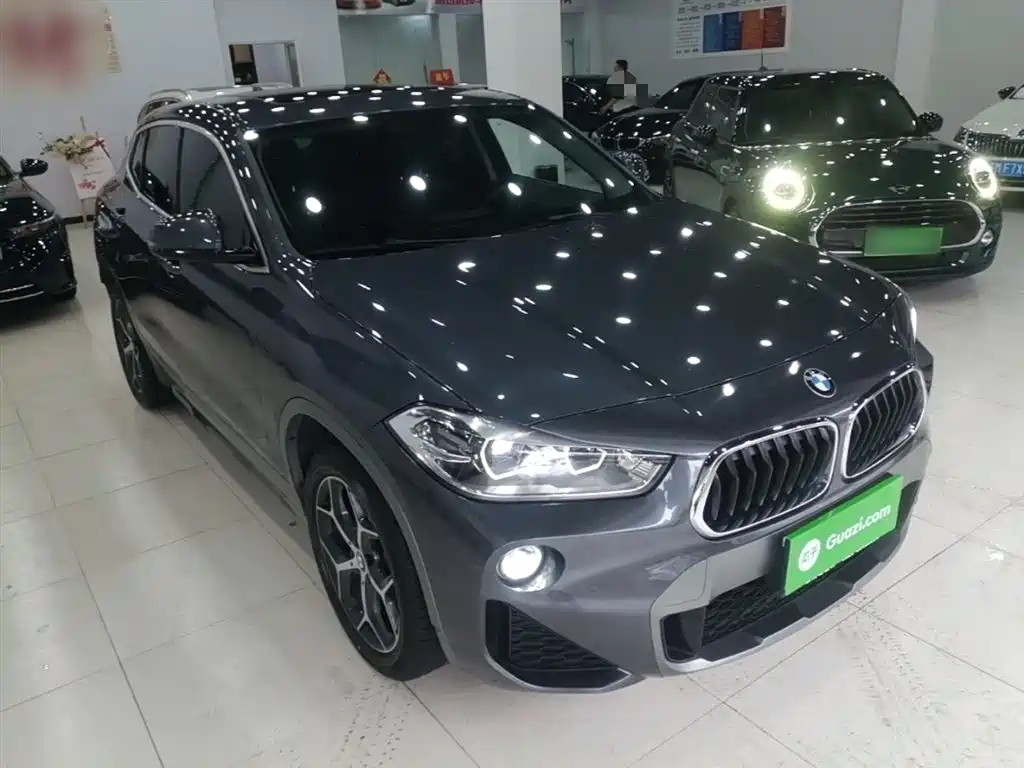BMW X2 (Import) 2019 sDrive20i M Off-Road Package China VI фото 4