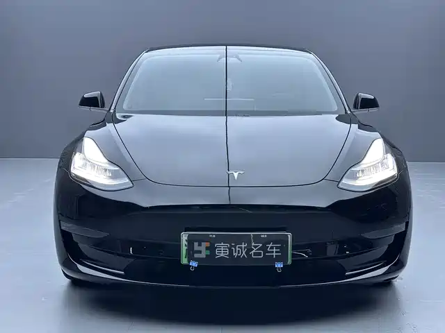 Tesla Model 3 2020 Facelift Long Range Rear-Wheel Drive — фото 2