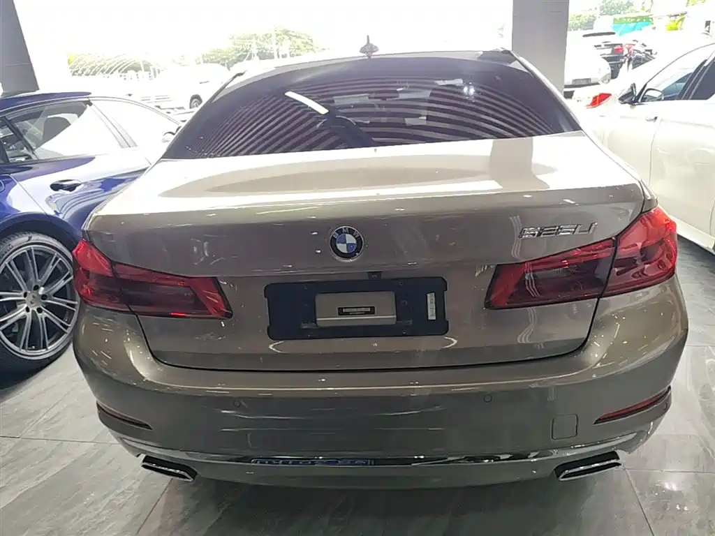 BMW 5 Series 2020 525Li Luxury Package фото 6