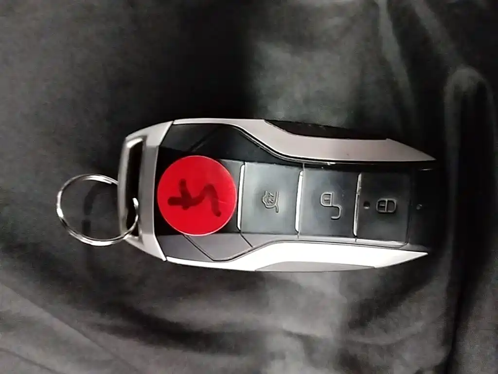 BYD Tang New Energy 2021 DM 2.0T AWD High Performance Premium фото 9