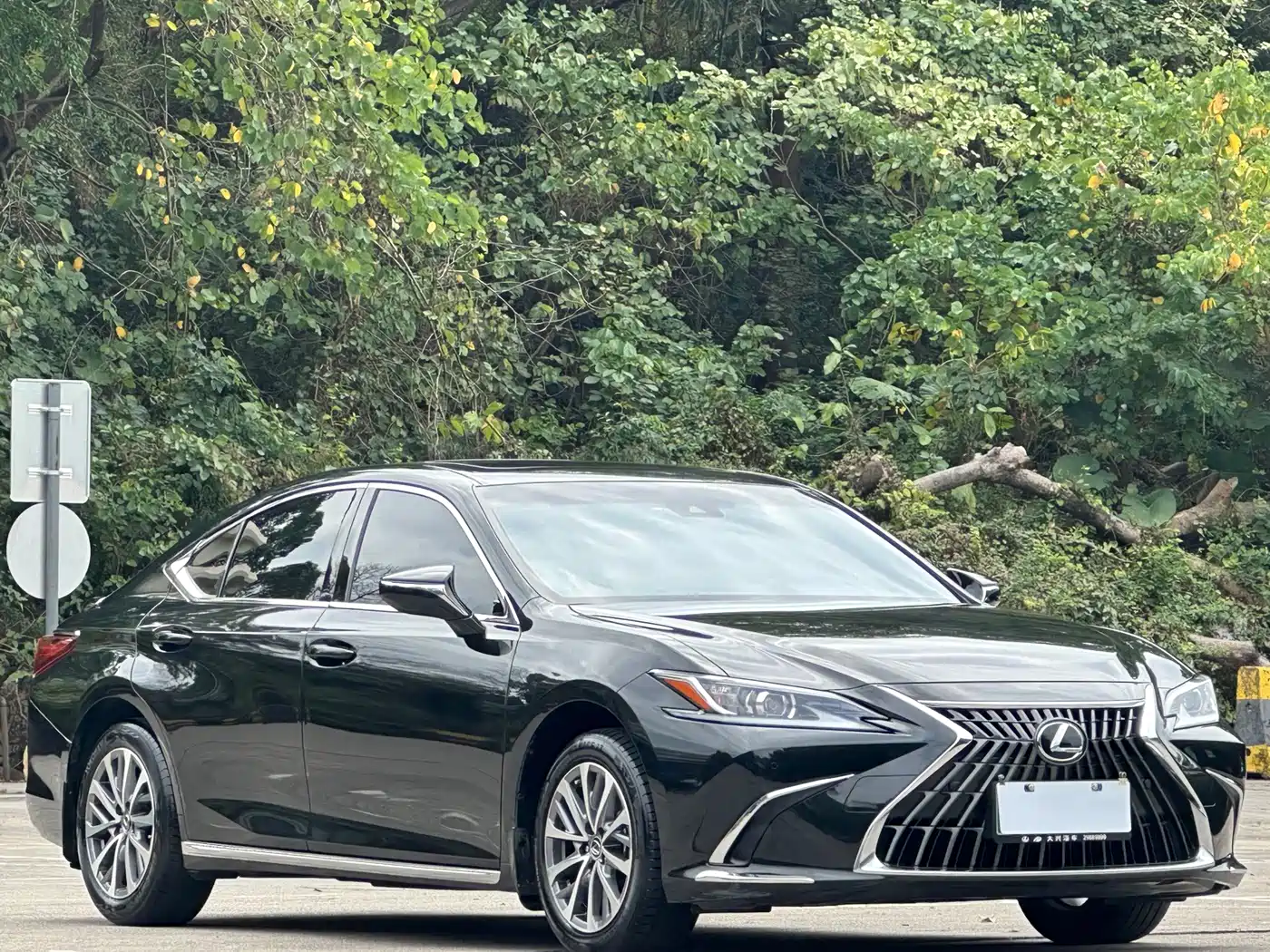 Фото 3 - Lexus ES