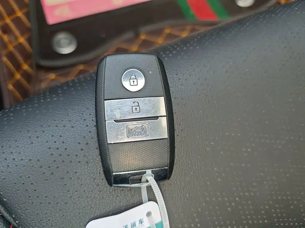 Kia KX5 2020 2019 1.6T Automatic 2WD Luxury Edition