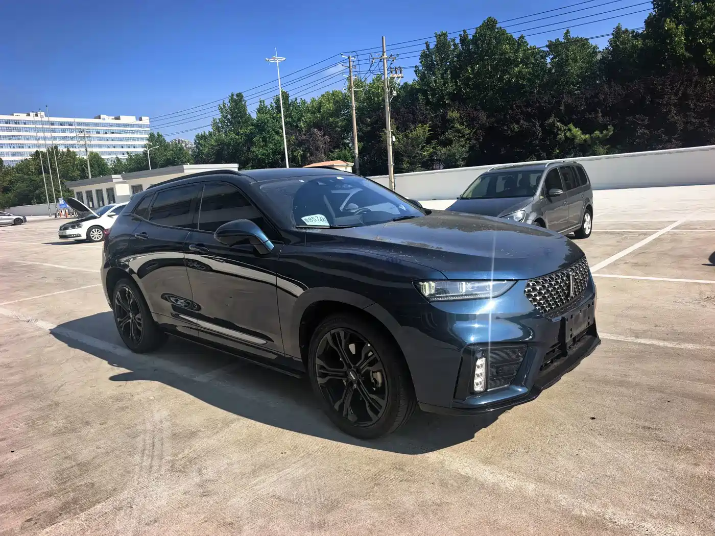 WEY VV7 2020 2020 Model 2.0T Flagship