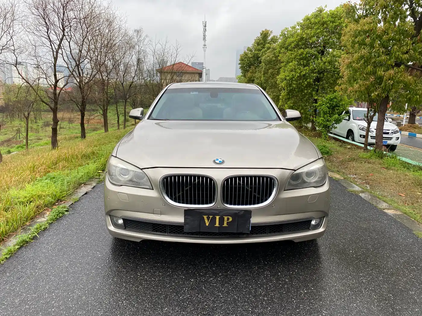 BMW 7 Series 2011 730Li Elegance фото 2