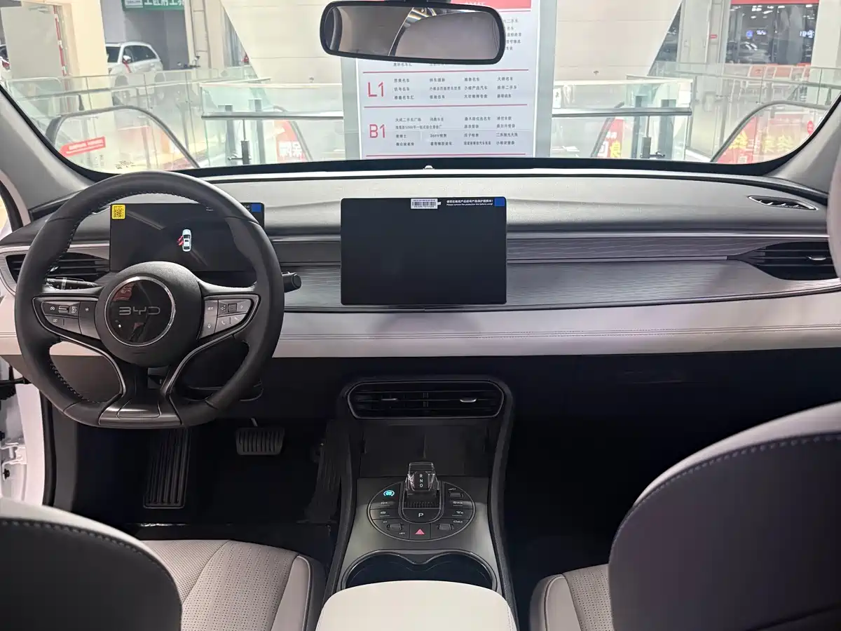 BYD Hai Bao 05 DM-i 2025 DM-i Smart Drive Edition 55KM Luxury фото 6
