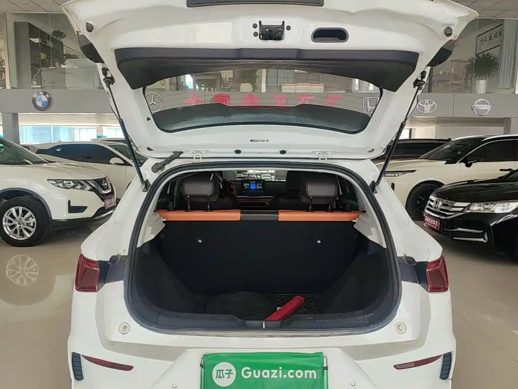 BYD e2 2021 2021 Luxury Edition